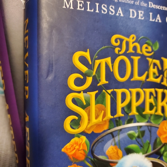 Books: The Stolen Slippers and The Broken Mirror by Melissa De La Cruz - Picture 4 of 4